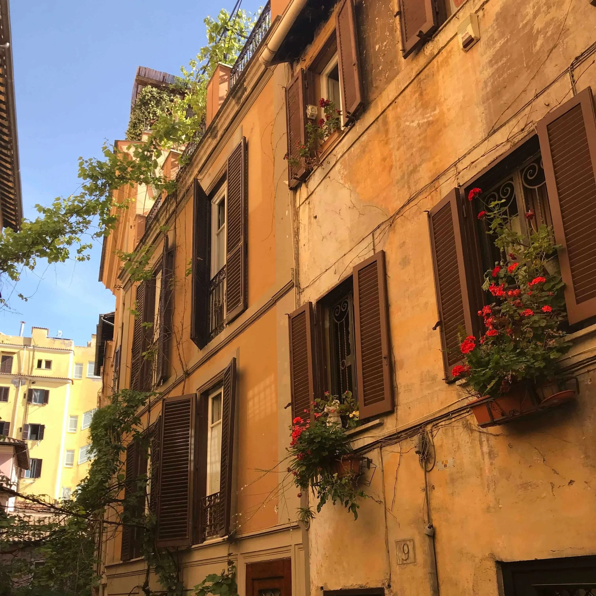 A building in the Borgo Pio district.