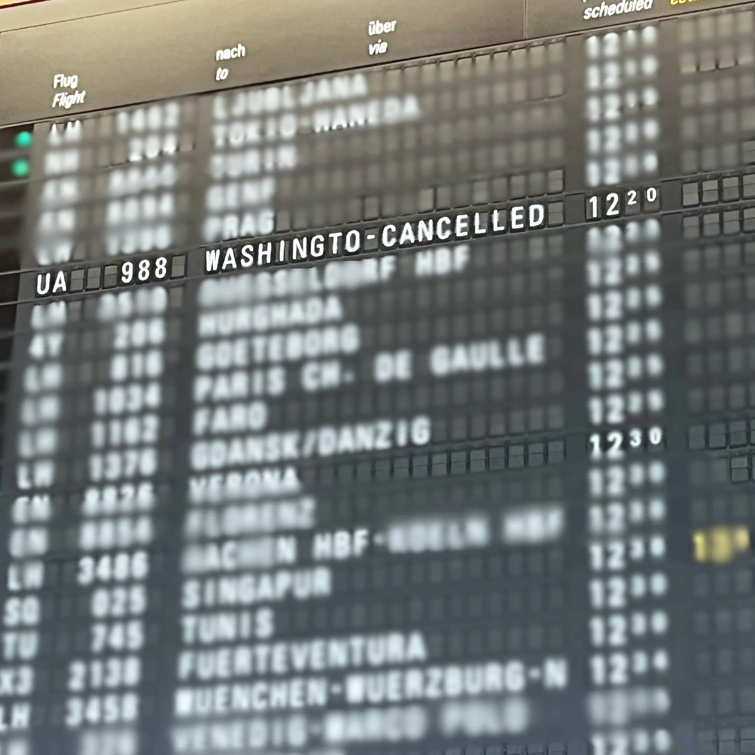 Canceled Flight (1)