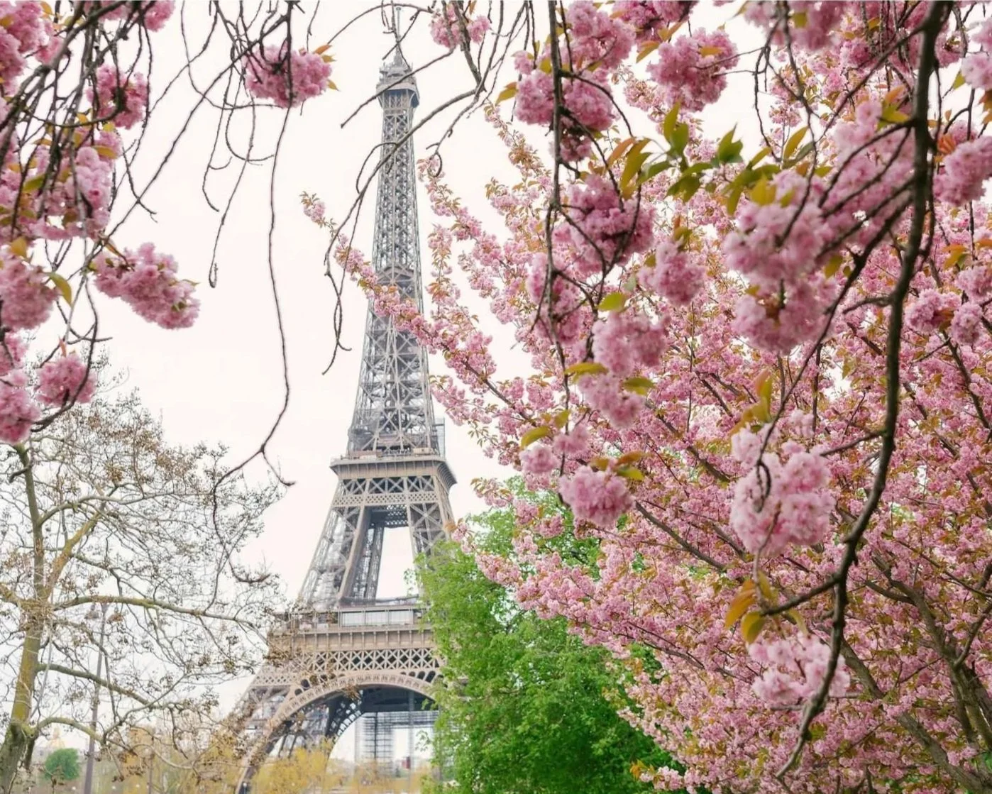 Japan in paris