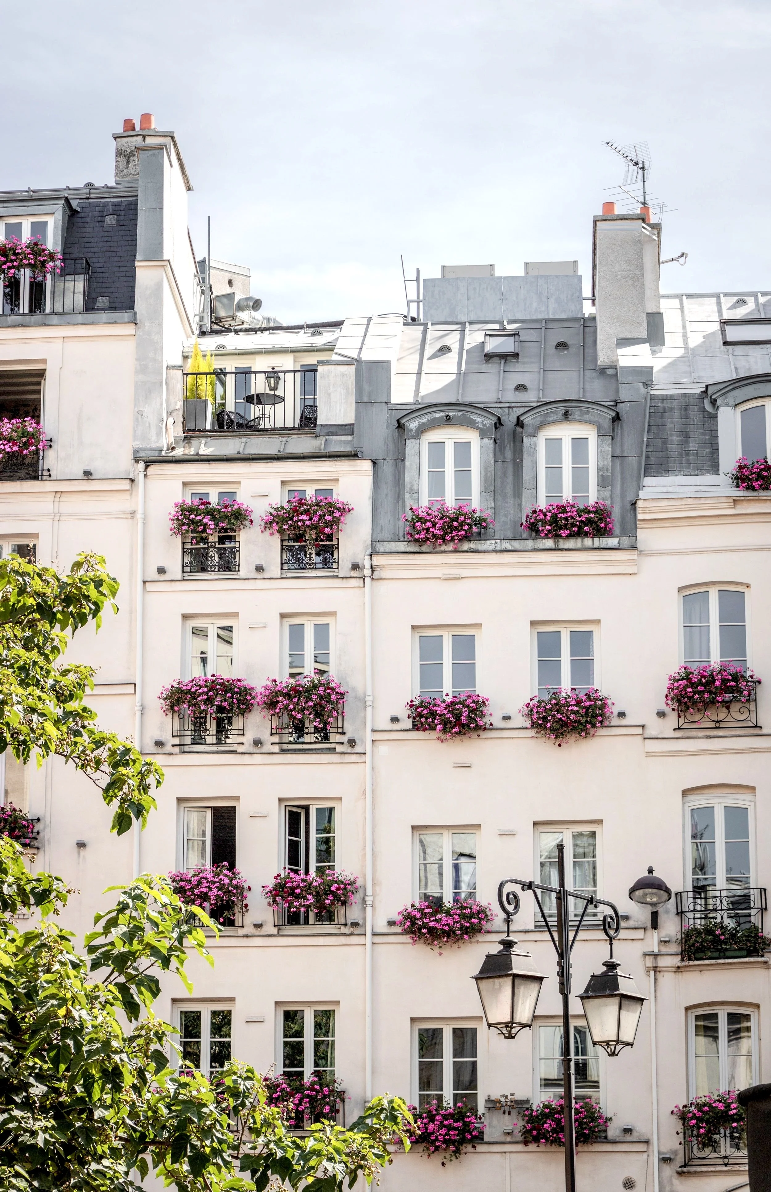 Pretty Paris1