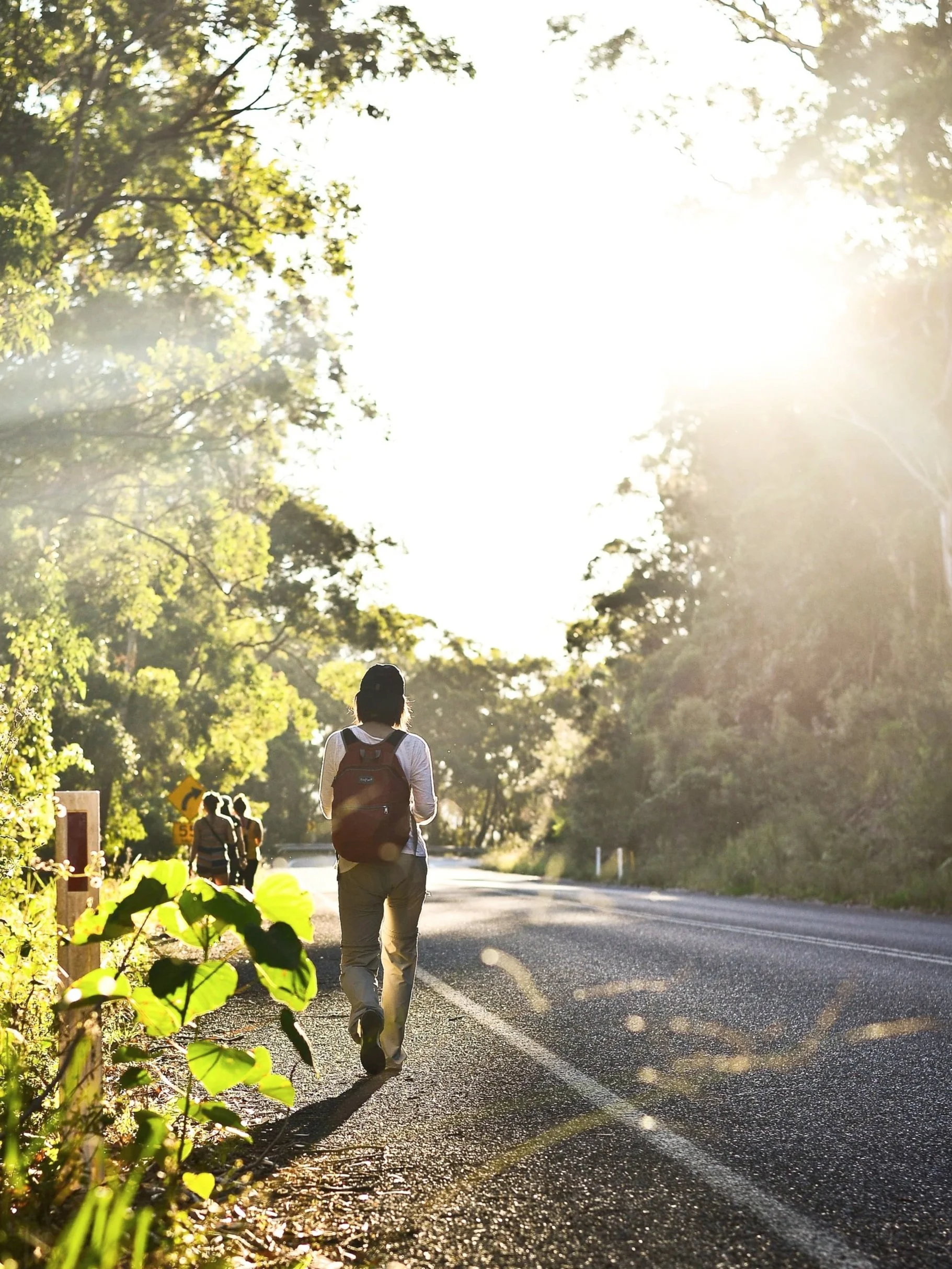 Walk in Sunshine (1)