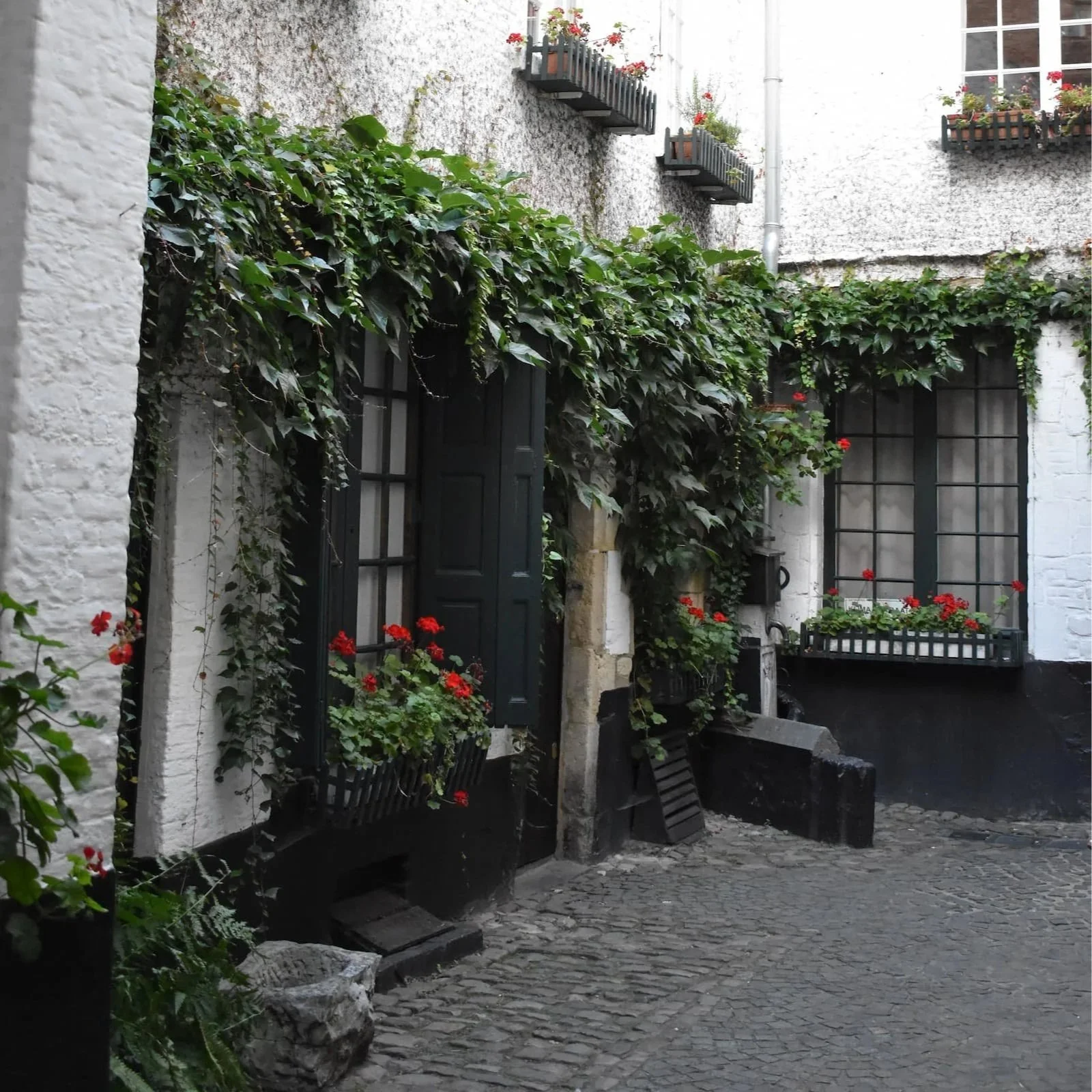 A peek down Vlaeykensgang, a secret passageway in Antwerp.