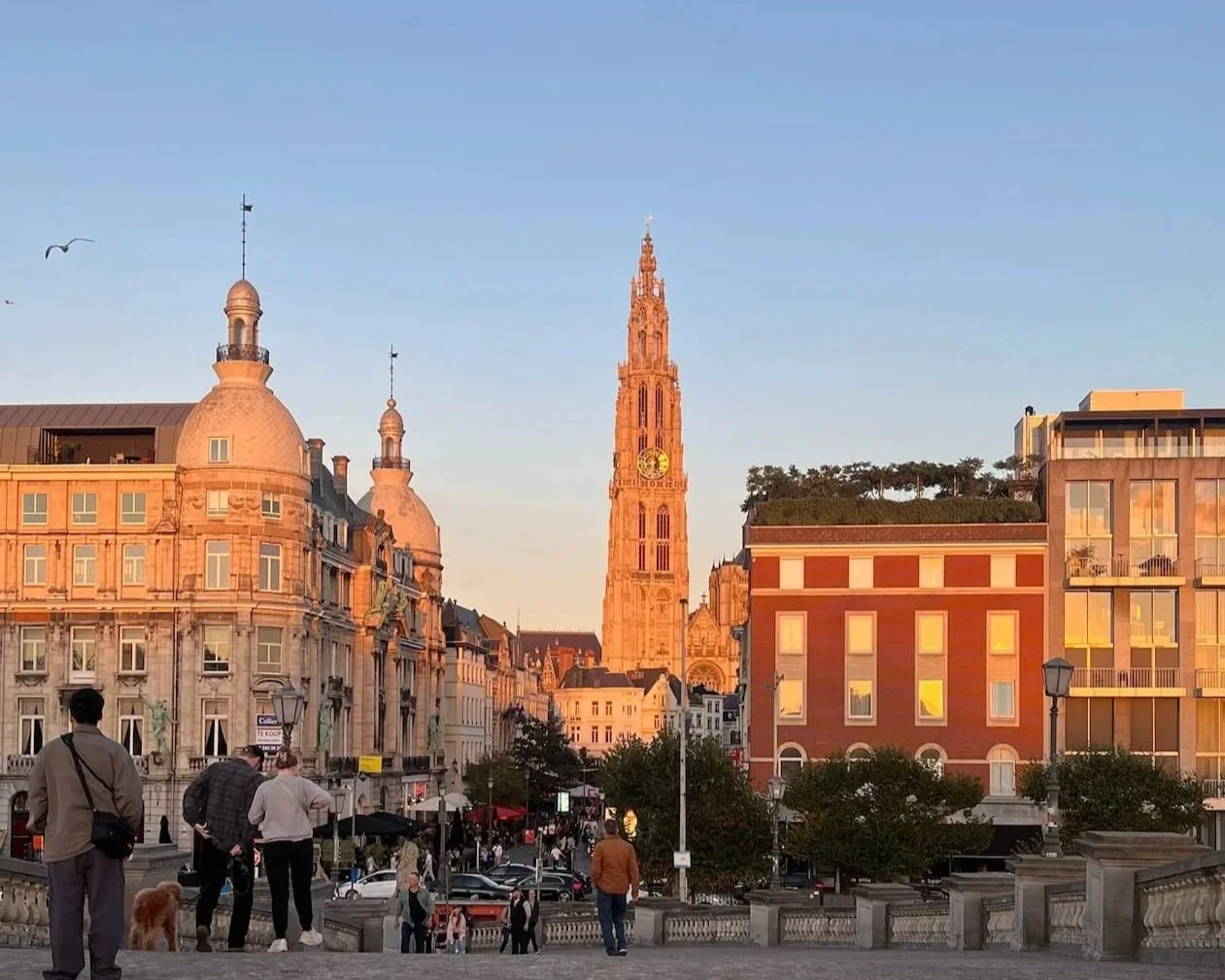 Antwerp cathedral quarter at goldern hour