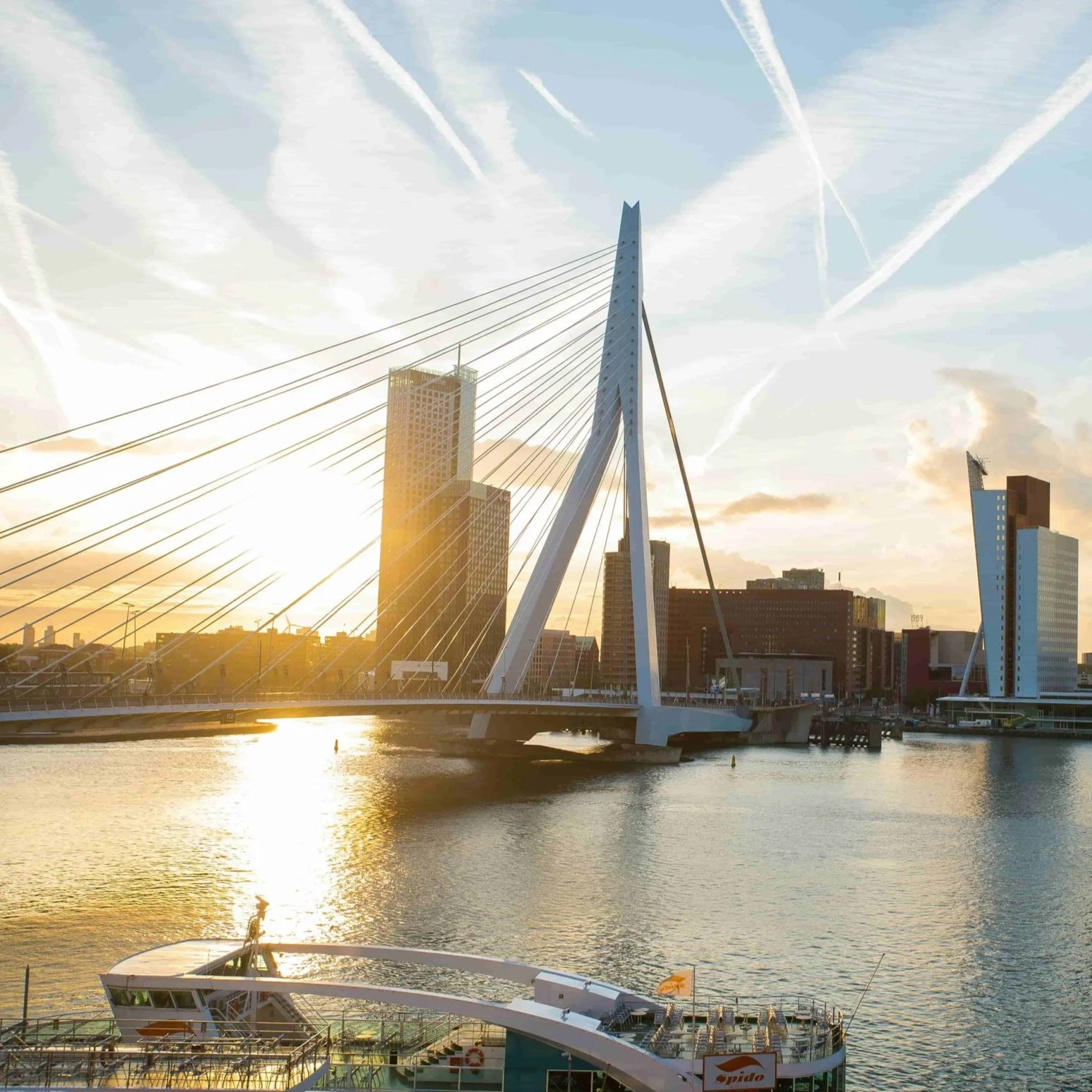 The Erasmusbrug spans the Maas River in Rotterdam.