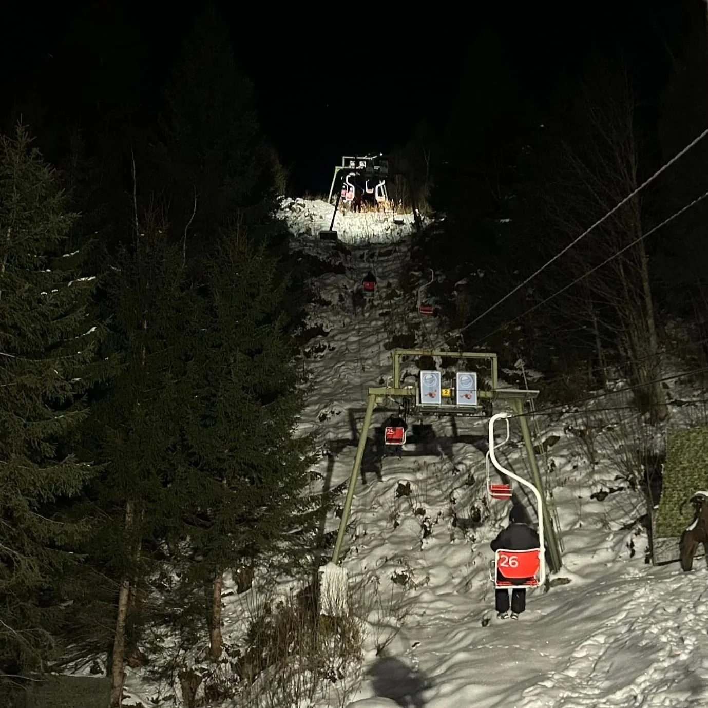The Bellevue Alm chairlift transports people to a restaurant, hotel, and toboggan run.
