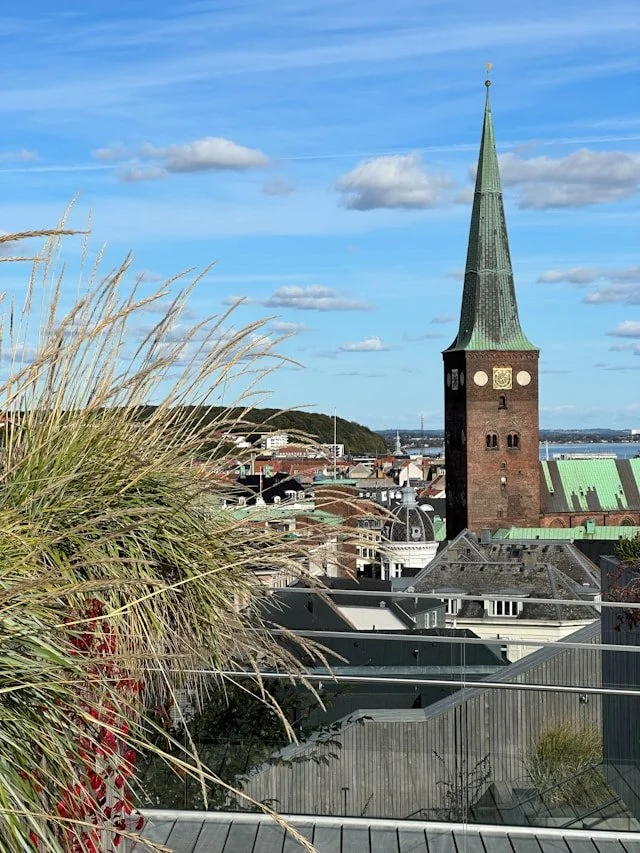 The city of Aarhus in Denmark.