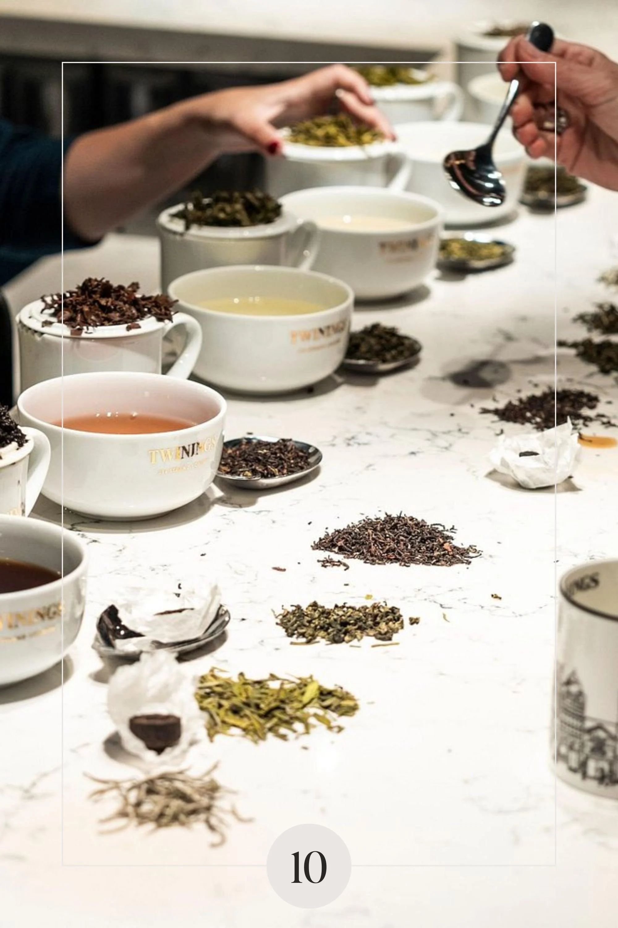 Twinings Tea Tasting Masterclass