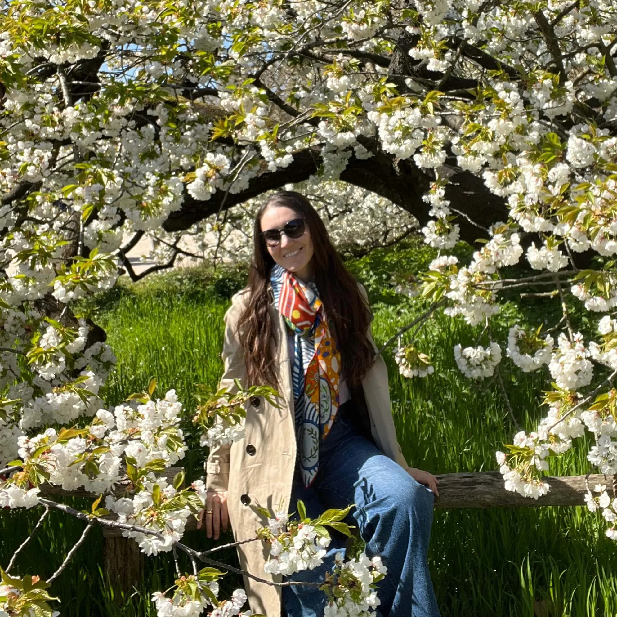 Japan in paris cherry blossom angela