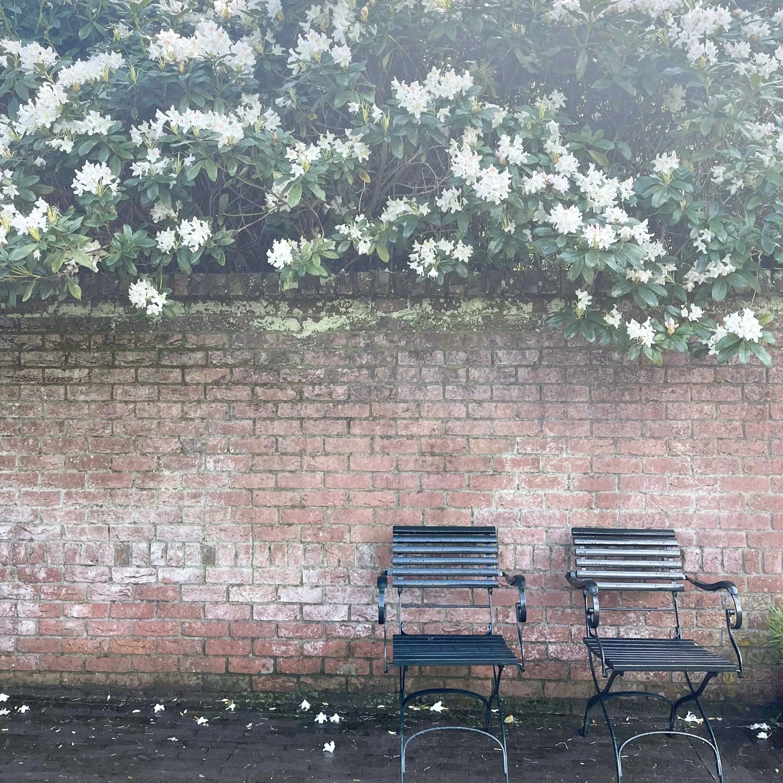 Keukenhof brick wall chairs