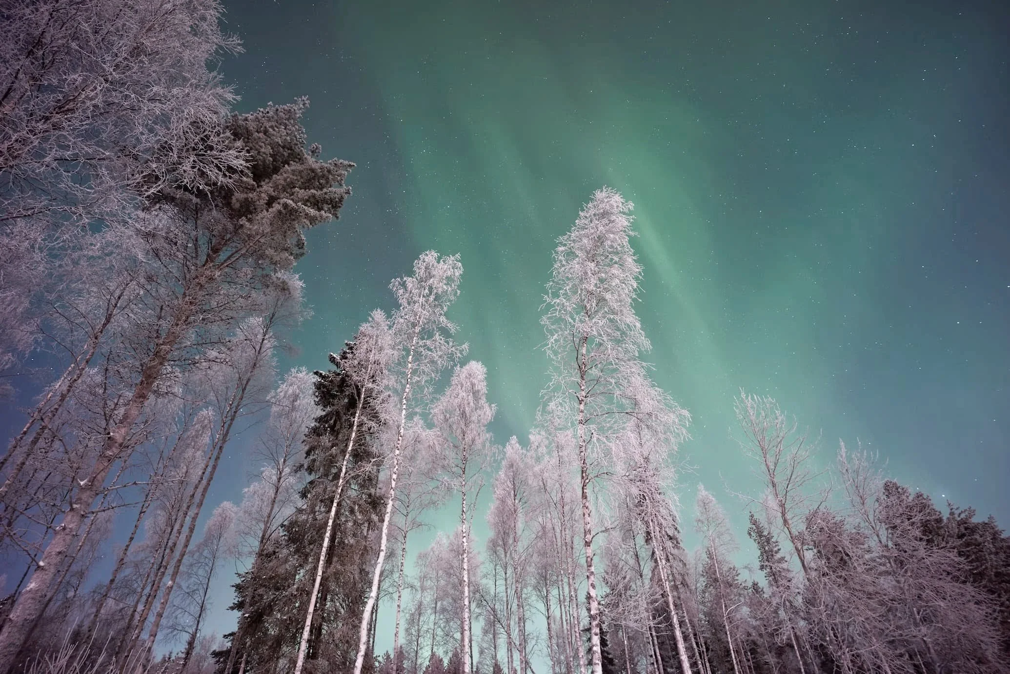 Lapland finland aurora borealis