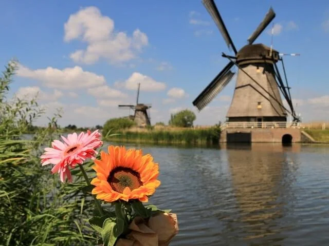Historic windmills in the town of Kinderdijk, Netherlands.