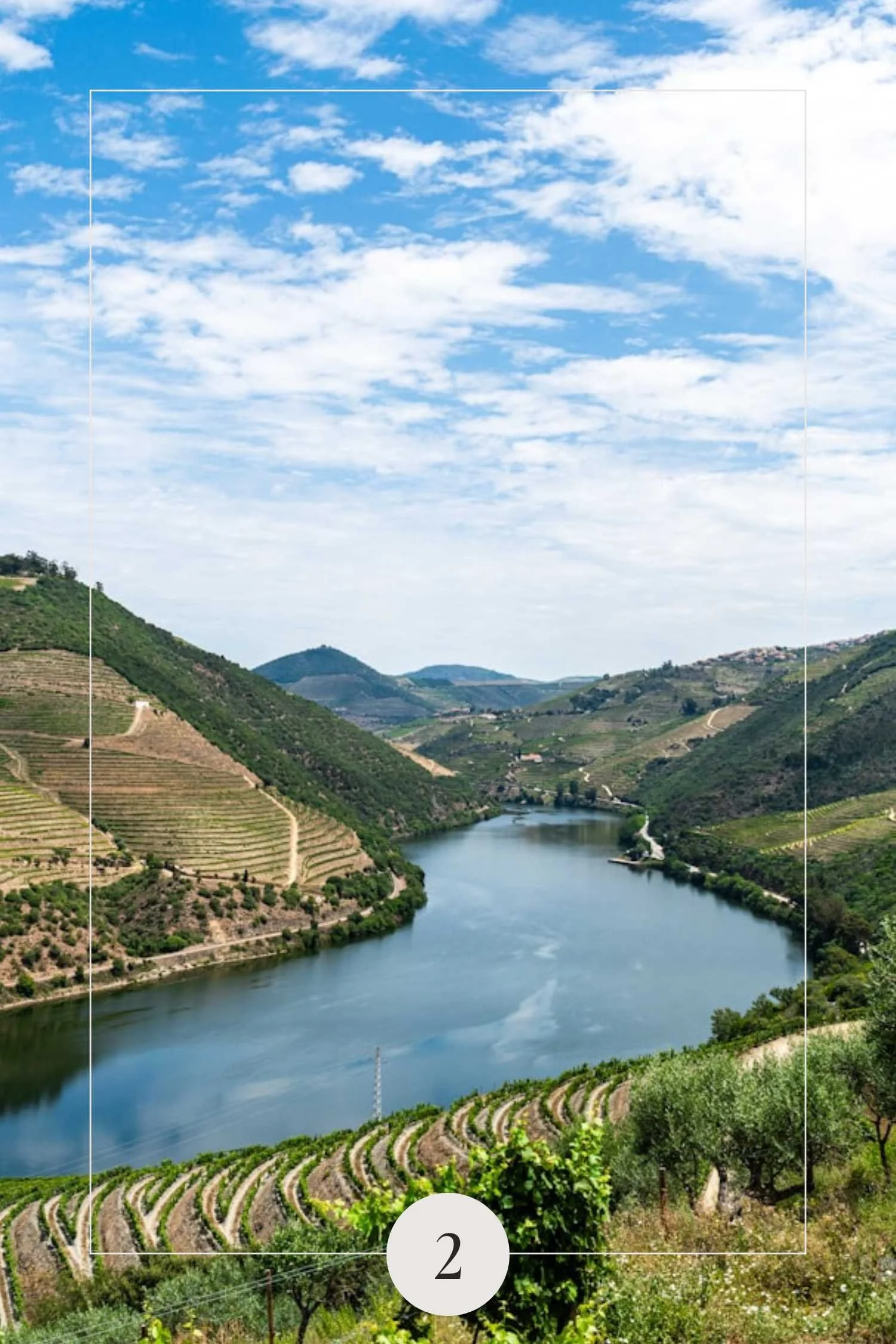 Wine Tasting in the Douro Valley
