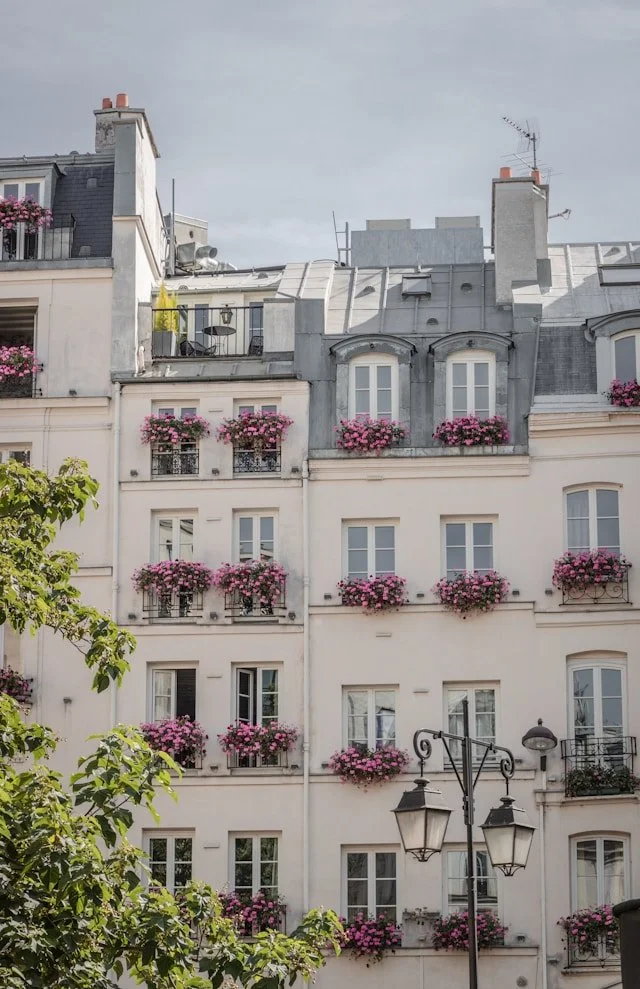 Haussmann rooftops and the Eiffel Tower in Paris