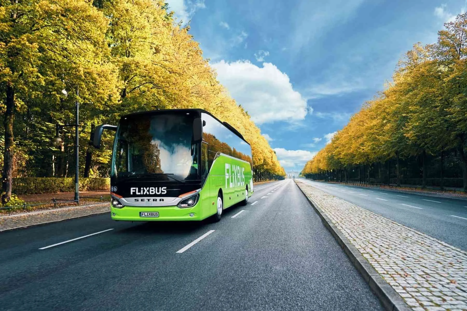 Bus