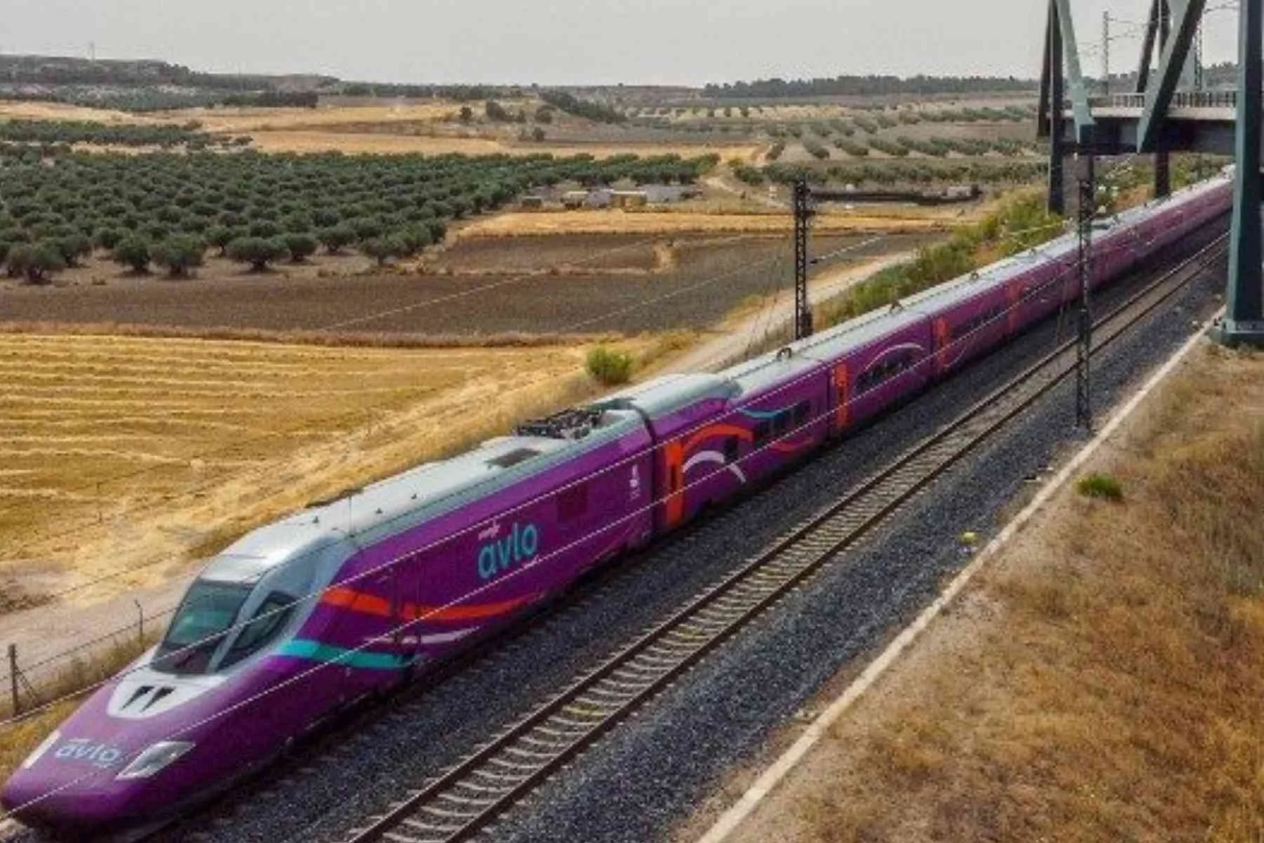 Train